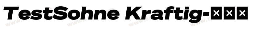 TestSohne Kraftig字体转换